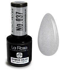 Hübriidlakk La Rosa 037 Silver, 9 ml цена и информация | Лаки для ногтей, укрепители для ногтей | kaup24.ee