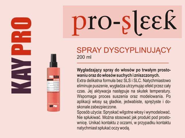 Šampoon keemiliselt töödeldud juustele KayPro Disciplinin Pro-Sleek Liss System, 1000 ml hind ja info | Šampoonid | kaup24.ee