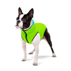 Двусторонняя куртка для собак AiryVest, разных размеров цена и информация | Одежда для собак | kaup24.ee