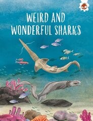 WEIRD AND WONDERFUL SHARKS: Shark Safari STEM цена и информация | Книги для подростков и молодежи | kaup24.ee
