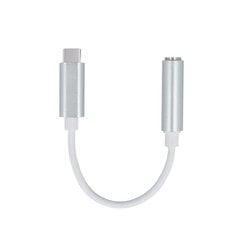 Adapter USB-C-pistikupesa 3,5 mm, Setty цена и информация | Адаптеры и USB-hub | kaup24.ee