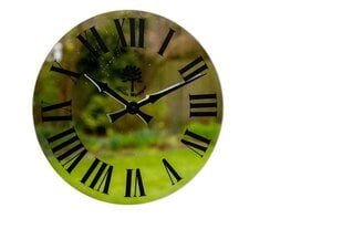 Наружные часы THE MIRROR цена и информация | Часы | kaup24.ee