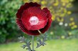 Aiadekoratsioon valgustusega Red Poppy hind ja info | Dekoratsioonid | kaup24.ee