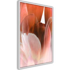 Seinapilt Tulip Petals hind ja info | Seinapildid | kaup24.ee