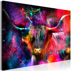 Seinapilt Colorful Bull, 1-osaline hind ja info | Seinapildid | kaup24.ee