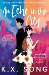 Echo in the City цена и информация | Книги для подростков и молодежи | kaup24.ee