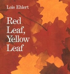 Red Leaf, Yellow Leaf hind ja info | Väikelaste raamatud | kaup24.ee