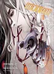 Bakemonogatari (manga) Volume 19 цена и информация | Фантастика, фэнтези | kaup24.ee