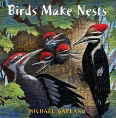 Birds Make Nests цена и информация | Книги для малышей | kaup24.ee