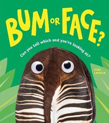 Bum or Face цена и информация | Книги для подростков и молодежи | kaup24.ee