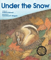 Under the Snow hind ja info | Noortekirjandus | kaup24.ee