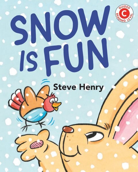 Snow Is Fun hind ja info | Noortekirjandus | kaup24.ee