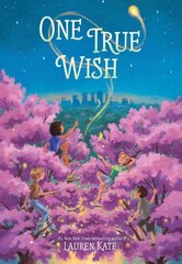 One True Wish цена и информация | Книги для подростков и молодежи | kaup24.ee