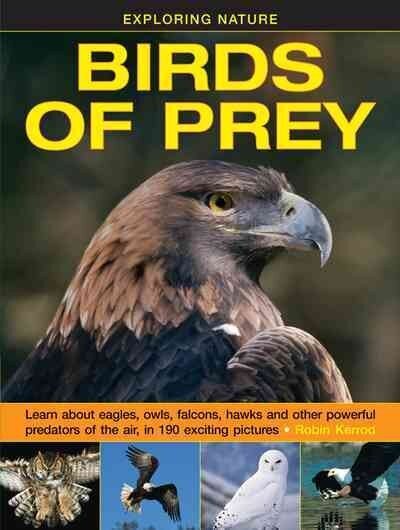 Exploring Nature: Birds of Prey hind ja info | Noortekirjandus | kaup24.ee