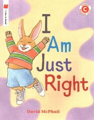 I Am Just Right цена и информация | Книги для подростков и молодежи | kaup24.ee