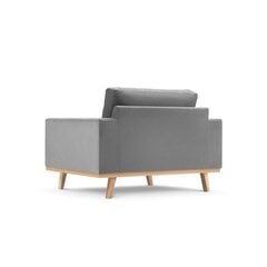 Кресло Tugela, 121x93x83 см, серый цвет цена и информация | Кресла в гостиную | kaup24.ee