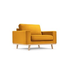 Кресло Tugela, 121x93x83 см, желтый цвет цена и информация | Кресла в гостиную | kaup24.ee