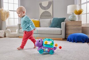 Fisher-Price Развивающая игрушка Poppin' Dino HNR53 цена и информация | Игрушки для мальчиков | kaup24.ee