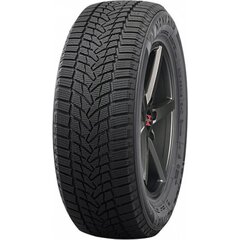 Nankang Ice-2, 106 T, 275/40R20, N+XL цена и информация | Зимняя резина | kaup24.ee