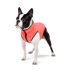 Двусторонняя куртка для собак AiryVest, разные размеры, розовый/серый цвет цена и информация | Одежда для собак | kaup24.ee