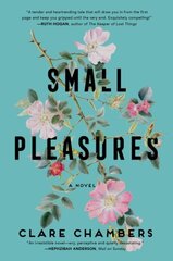Small Pleasures цена и информация | Фантастика, фэнтези | kaup24.ee