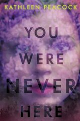 You Were Never Here цена и информация | Книги для подростков и молодежи | kaup24.ee