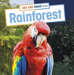 Day and Night in the Rainforest цена и информация | Книги для подростков и молодежи | kaup24.ee