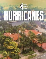Hurricanes hind ja info | Noortekirjandus | kaup24.ee