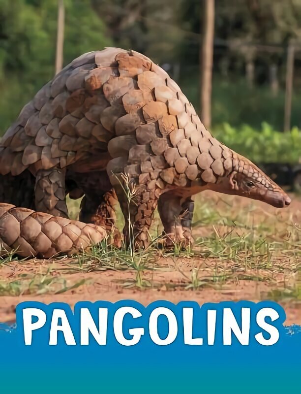 Pangolins hind ja info | Noortekirjandus | kaup24.ee