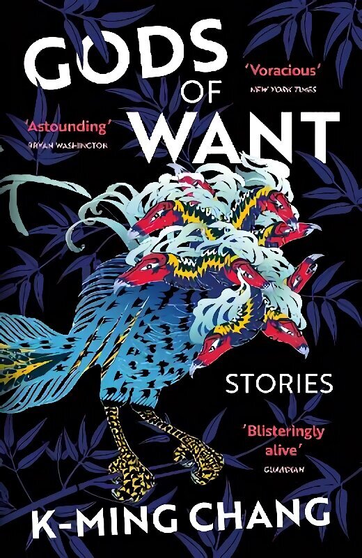 Gods of Want: A New York Times Notable Book of 2022 hind ja info | Fantaasia, müstika | kaup24.ee