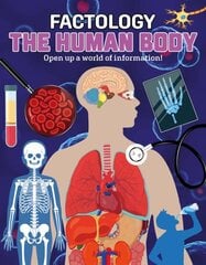 Human Body: Open Up a World of Information! цена и информация | Книги для подростков и молодежи | kaup24.ee