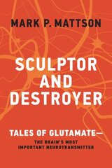 Sculptor and Destroyer: Tales of Glutamatethe Brains Most Important Neurotransmitter цена и информация | Книги по экономике | kaup24.ee