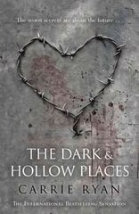 Dark and Hollow Places Digital original цена и информация | Фантастика, фэнтези | kaup24.ee