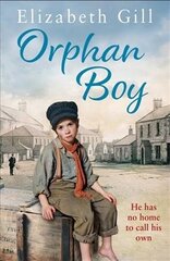 Orphan Boy цена и информация | Фантастика, фэнтези | kaup24.ee