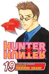 Hunter x Hunter, Vol. 19: N.G.L. illustrated edition, v. 19 hind ja info | Fantaasia, müstika | kaup24.ee