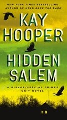 Hidden Salem цена и информация | Фантастика, фэнтези | kaup24.ee