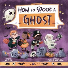 How to Spook a Ghost hind ja info | Noortekirjandus | kaup24.ee