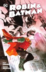 Robin & Batman цена и информация | Фантастика, фэнтези | kaup24.ee