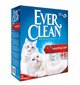 Kassiliiv Ever Clean Multiple Cat, 6 L цена и информация | Kassiliiv | kaup24.ee