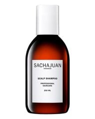 Šampoon Sachajuan Normal, 250 ml hind ja info | Šampoonid | kaup24.ee