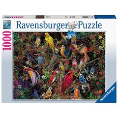 Pusle lindudega Ravensburger 16832, 1000 tk цена и информация | Пазлы | kaup24.ee