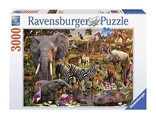 Pusle Ravensburger Aafrika mandri loomad, 3000 tk цена и информация | Пазлы | kaup24.ee