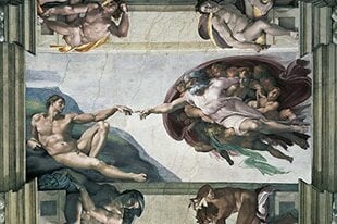 Pusle Ravensburger Michelangelo, 5000 tk цена и информация | Пазлы | kaup24.ee