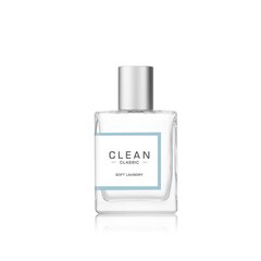 Parfüüm naistele Clean Soft Laundry Edp, 30 ml hind ja info | Naiste parfüümid | kaup24.ee