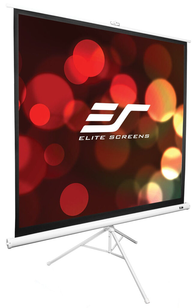 Elite Screens T120NWV1 (243 x 182 cm) цена и информация | Projektori ekraanid | kaup24.ee