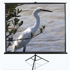 Elite Screens T120NWV1 (243 x 182 cm) цена и информация | Экраны для проекторов | kaup24.ee