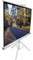 Elite Screens T85NWS1 (152 x 152 cm) hind ja info | Projektori ekraanid | kaup24.ee