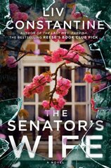 Senator's Wife: A Novel hind ja info | Fantaasia, müstika | kaup24.ee