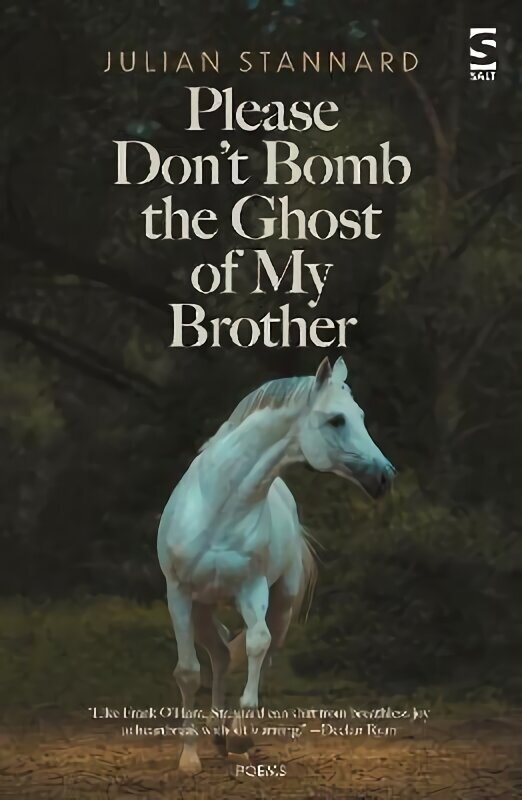 Please Don't Bomb the Ghost of My Brother hind ja info | Luule | kaup24.ee