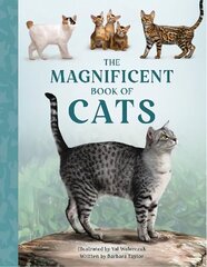 Magnificent Book of Cats hind ja info | Noortekirjandus | kaup24.ee